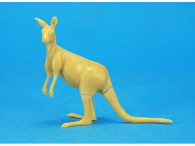 Kangaroo - image 1