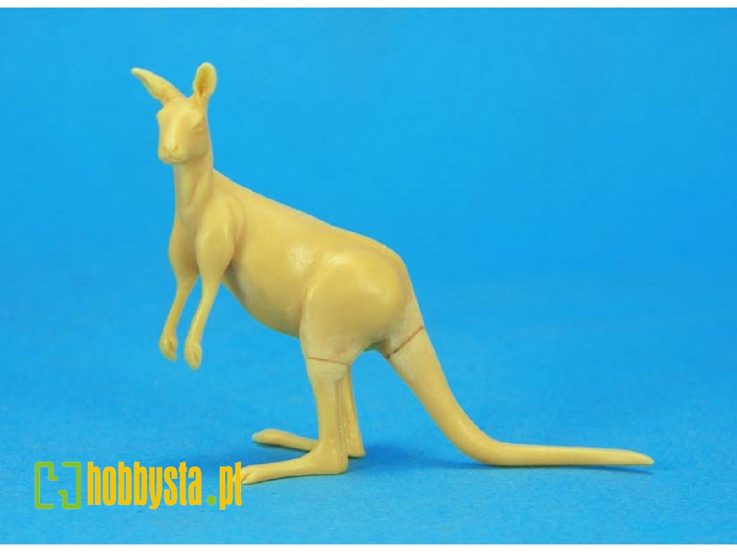 Kangaroo - image 1