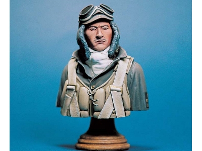 Kamikaze Bust - image 1