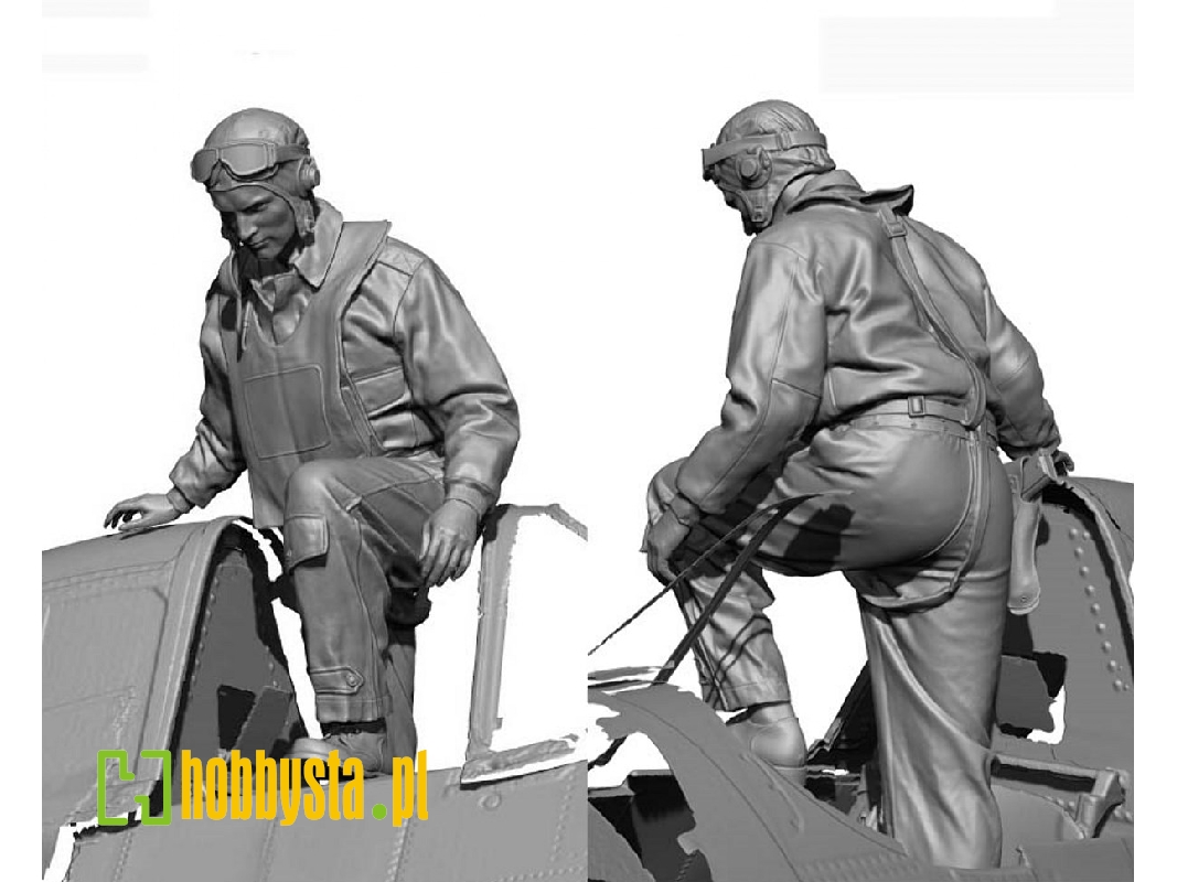 Ww2 Us Navy Pilot Boarding - image 1 Ww2 Us Navy Pilot Boarding - image 1