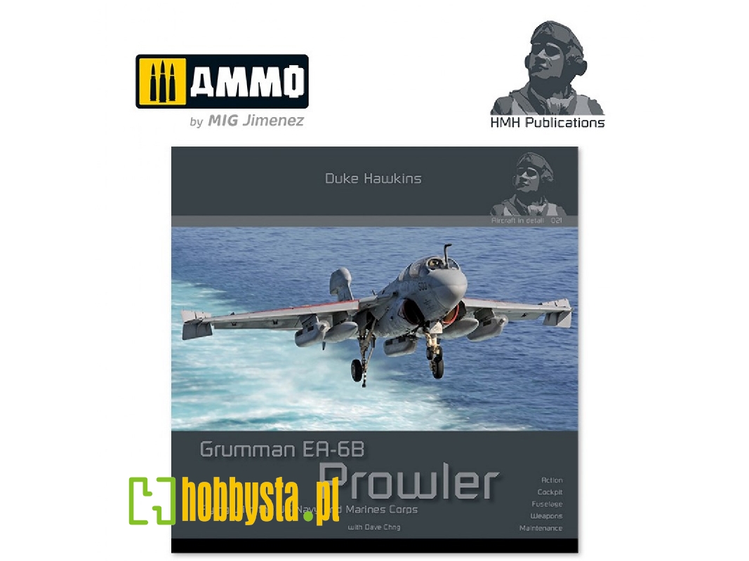Grumman Ea-6b Prowler - image 1