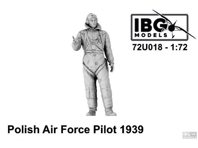 Polish Air Force Pilot 1939 - image 1