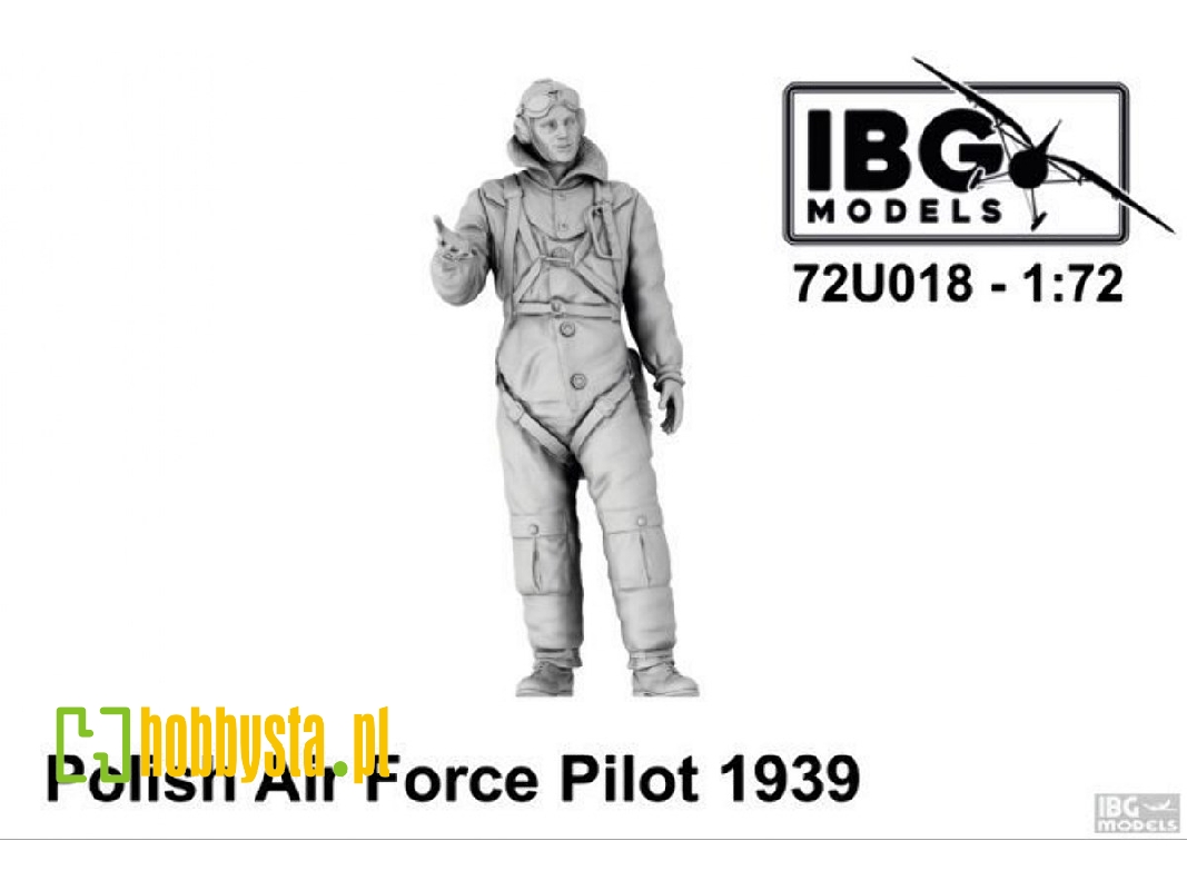Polish Air Force Pilot 1939 - image 1