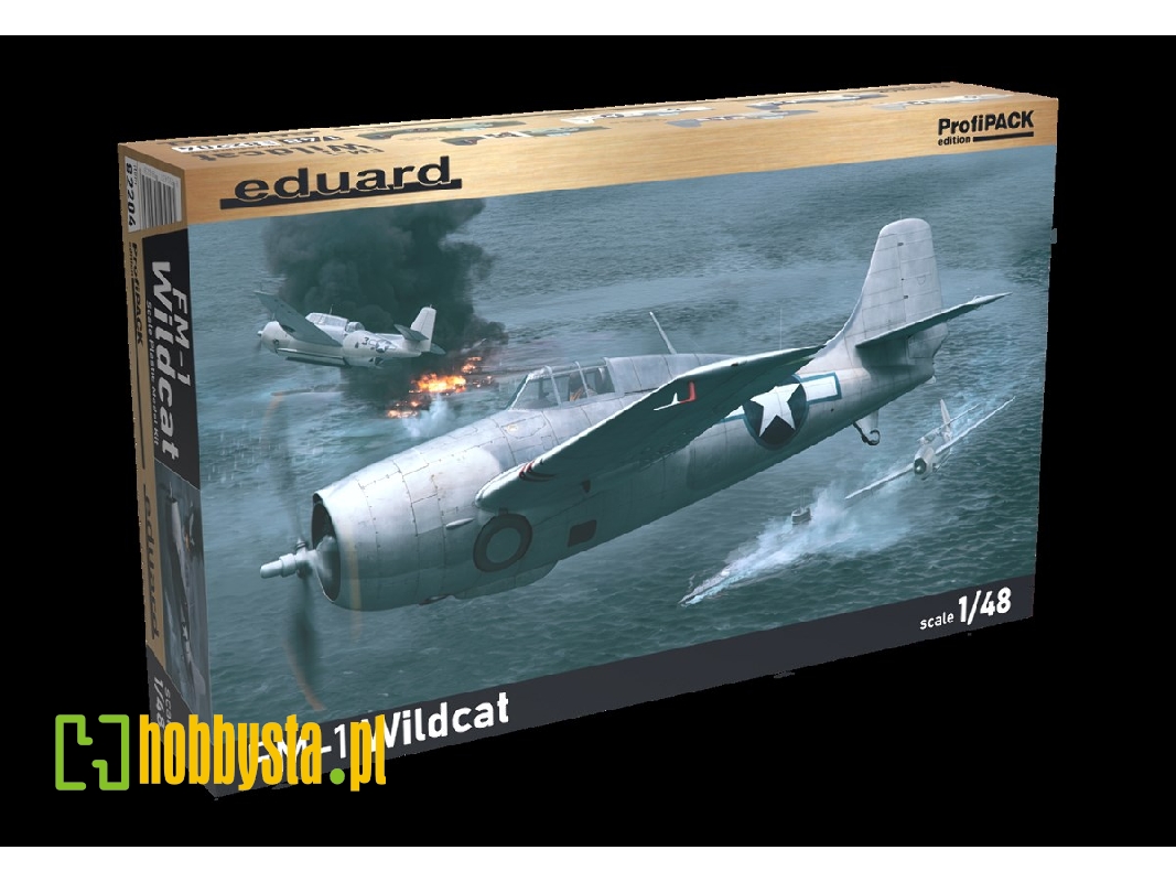 FM-1 Wildcat 1/48 - image 1