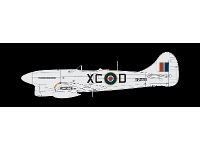 Hawker Tempest Mk.V Post War - image 7