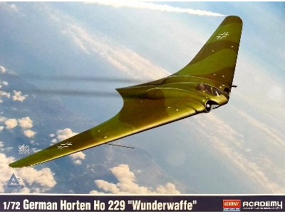 German Horten Ho 229 'wunderwaffe' - image 1