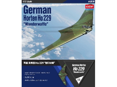 German Horten Ho 229 'wunderwaffe' - image 2