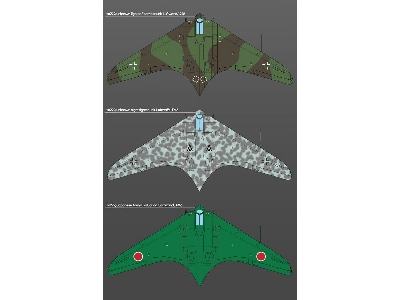 German Horten Ho 229 'wunderwaffe' - image 3