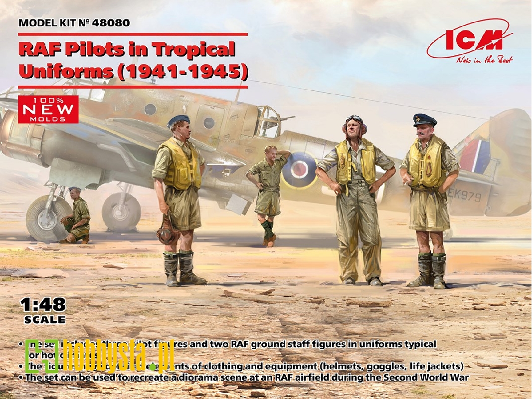 Raf Pilots In Tropical Uniforms - image 1