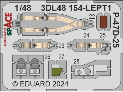 P-47D-25 SPACE 1/48 - MINIART - image 2