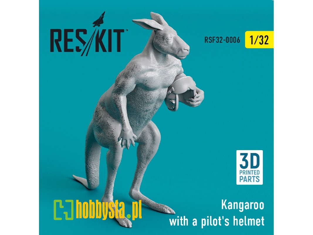 Kangaroo With A Pilot's Helmet - image 1