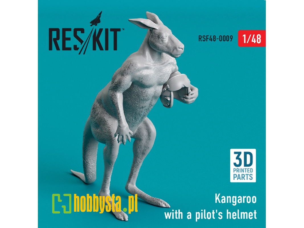 Kangaroo With A Pilot's Helmet - image 1