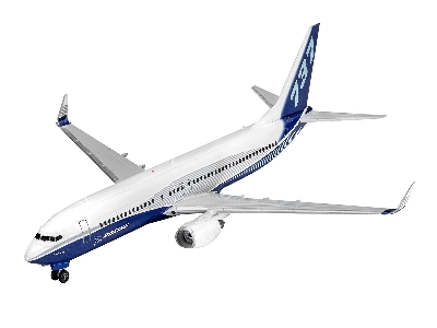 Boeing 737-800 - image 2