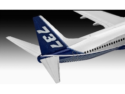Boeing 737-800 - image 5