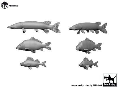 Fish (10pcs) - image 2