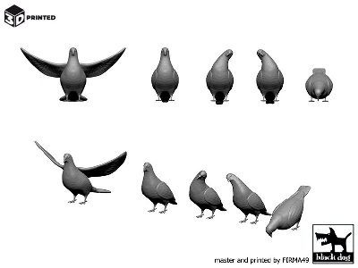 Pigeons (10pcs) - image 2