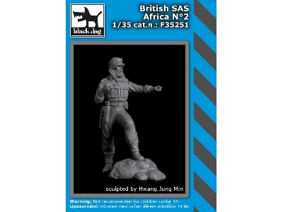 British Sas Africa No 2 - image 1