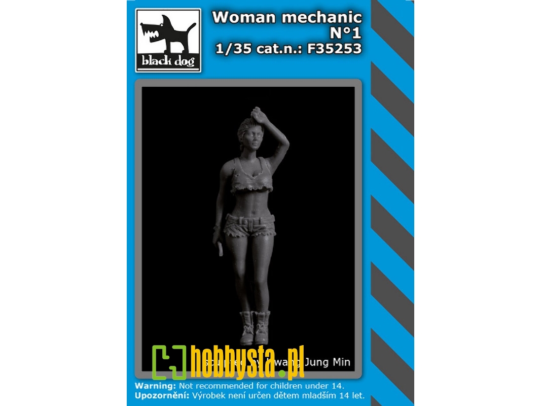 Woman Mechanic No. 1 - image 1