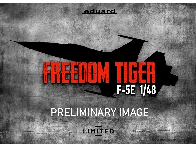 FREEDOM TIGER 1/48 - image 1