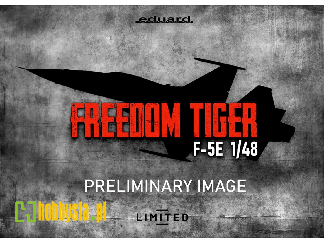 FREEDOM TIGER 1/48 - image 1