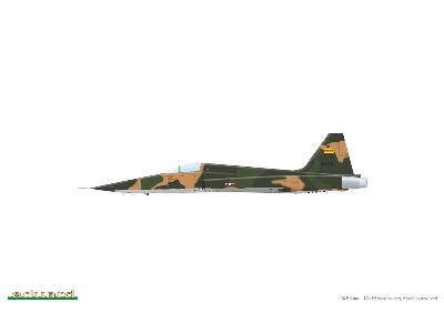 FREEDOM TIGER 1/48 - image 15