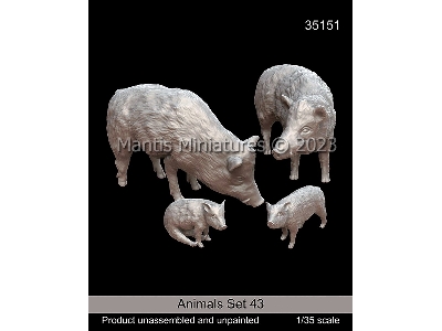 Animals Set 43 - image 1