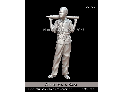 African Young Rebel - image 1