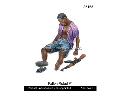 Fallen Rebel #1 - image 1