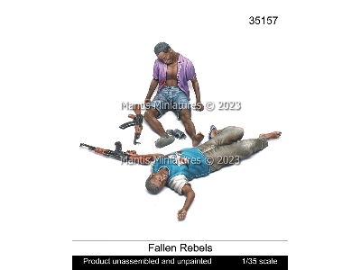 Fallen Rebels - image 1
