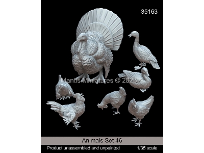 Animals Set 46 - image 1