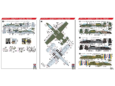 A-10C Special Schemes - image 2