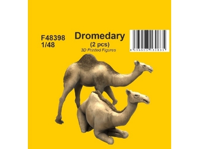 Dromedary (2 Pcs) - image 1