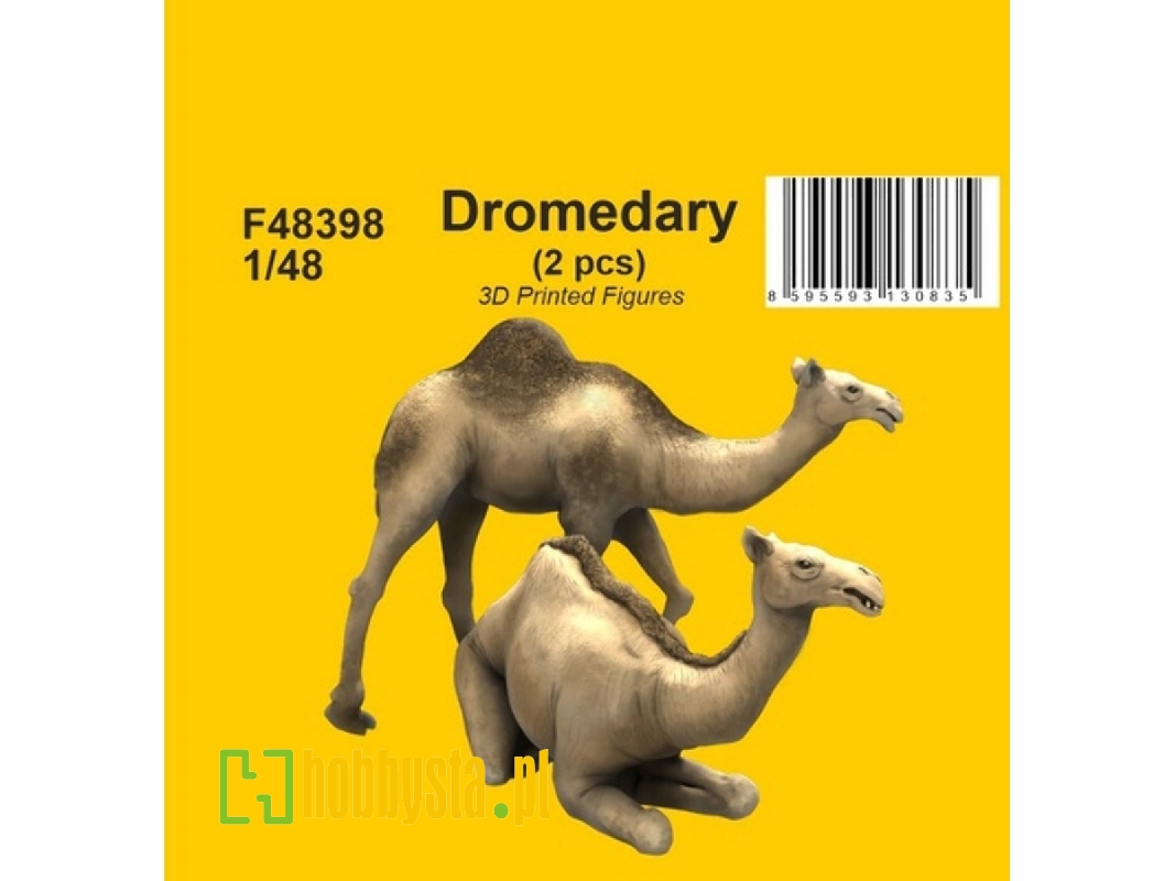 Dromedary (2 Pcs) - image 1
