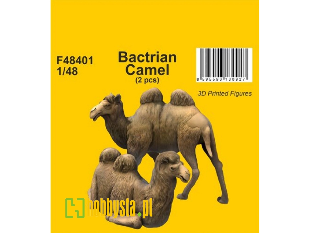 Bactrian Camel (2pcs) - image 1