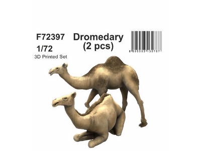 Dromedary (2pcs) - image 1