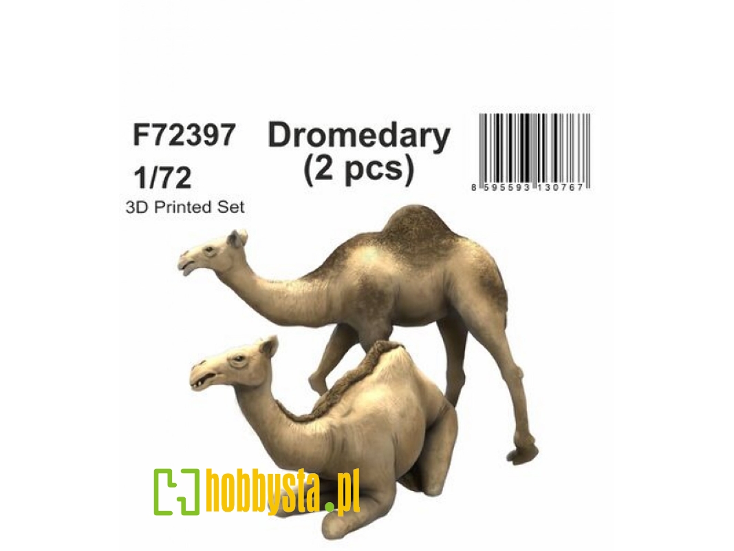 Dromedary (2pcs) - image 1