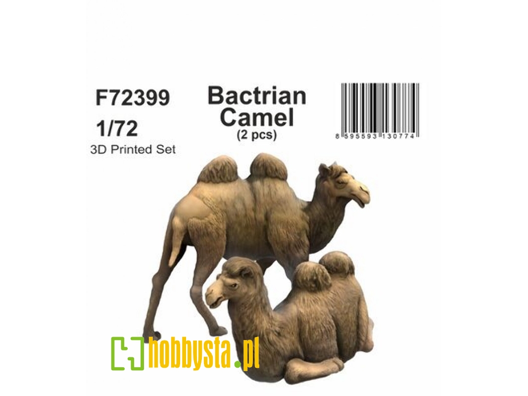 Bactrian Camel (2pcs) - image 1