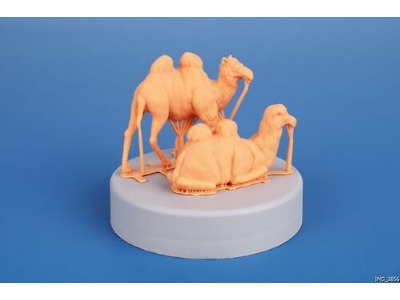 Bactrian Camel (2pcs) - image 3