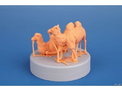Bactrian Camel (2pcs) - image 4