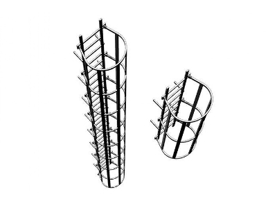 Safety Cage Ladders - image 2