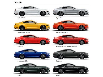 1339 Magnetic 2015 Ford Mustang - image 4