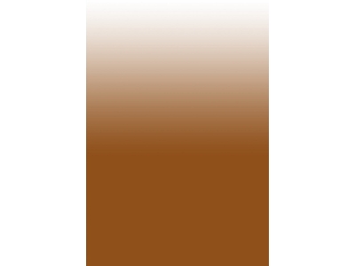 Tsc211 - Burnt Brown - image 2