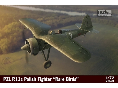PZL P.11c Polish Fighter Rare Birds - image 1