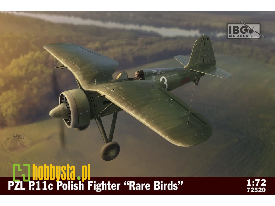 PZL P.11c Polish Fighter Rare Birds - image 1