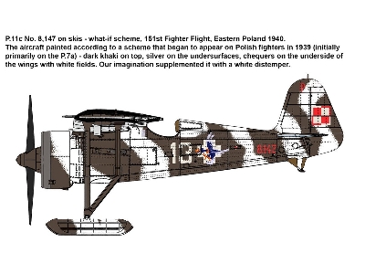 PZL P.11c Polish Fighter Rare Birds - image 5