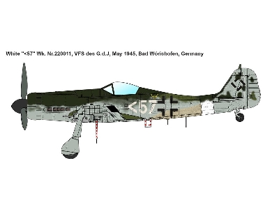 Focke-Wulf Fw 190D-11 Sorau Factory Series - image 2