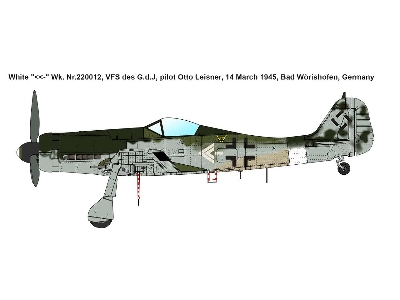 Focke-Wulf Fw 190D-11 Sorau Factory Series - image 3
