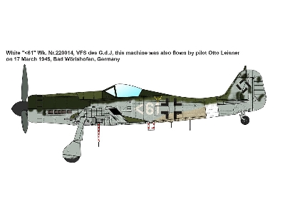 Focke-Wulf Fw 190D-11 Sorau Factory Series - image 4