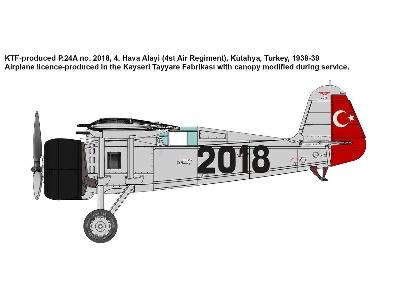 PZL P.24A/F Fighter in Turkish Service - image 3
