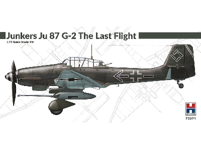 Junkers Ju 87 G-2 The Last Flight - image 1